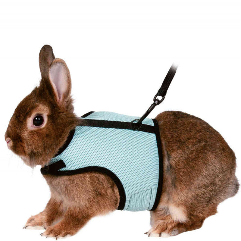 Bunny clothes leash